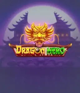 Embark on a legendary quest with the Dragon Hero game by Pragmatic Play, featuring stunning graphics of ancient dragons and epic encounters. Venture into a world where legend meets thrill, with featuring enchanted weapons, mystical creatures, and treasures for a thrilling gaming experience.