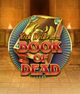 Enter the thrilling world of Book of Dead Slot by Play'n GO, featuring vivid graphics of Rich Wilde's journey through ancient Egyptian tombs and artifacts. Discover lost riches with exciting mechanics like free spins, expanding icons, and a gamble option. Ideal for those seeking adventure with a desire for exciting finds.